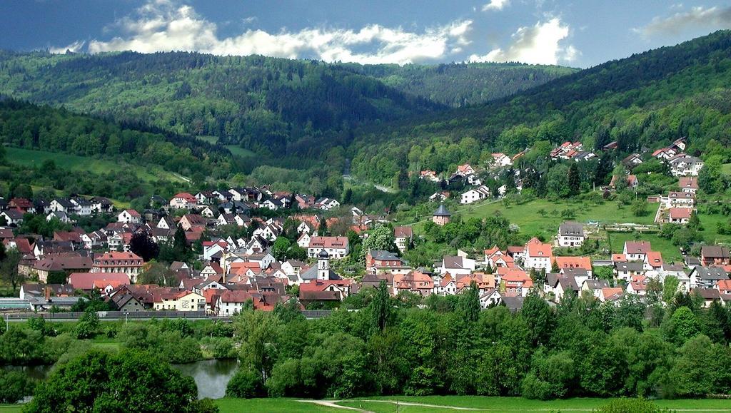 Hotel Krone Laudenbach  Exteriér fotografie