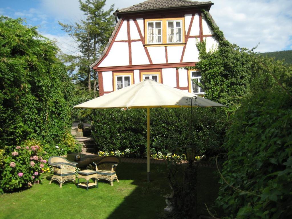 Hotel Krone Laudenbach  Exteriér fotografie