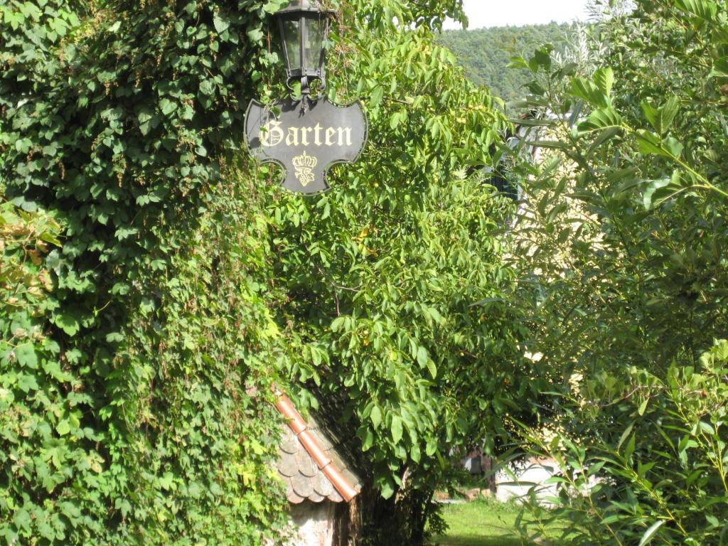 Hotel Krone Laudenbach  Exteriér fotografie